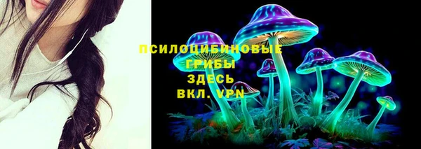 гидропоника Коряжма