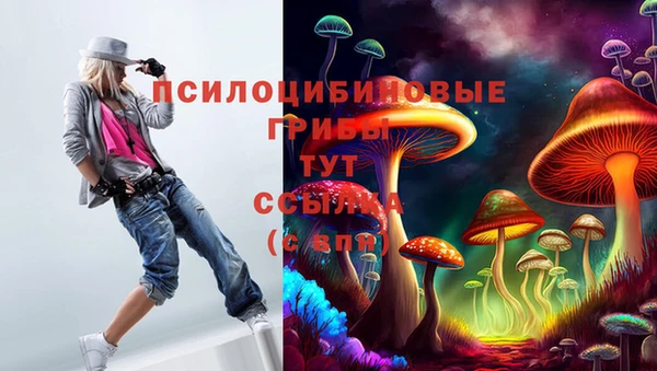 прущие крисы Корсаков
