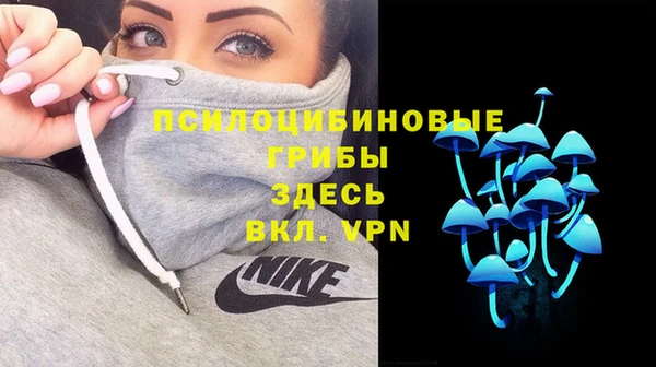 прущие крисы Корсаков
