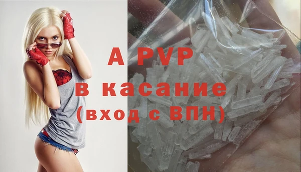 прущие крисы Корсаков