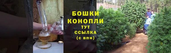 гидропоника Коряжма